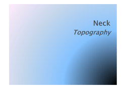 neck topogr_2014En_SD