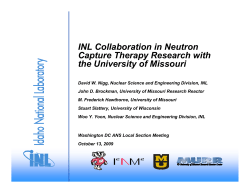 INL Collaboration in Neutron Capture Therapy