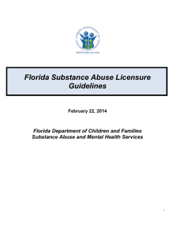 Florida Substance Abuse Licensure Guidelines