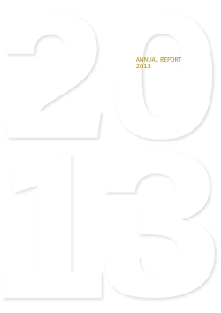 ANNUAL REPORT 2013