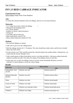 INV.13 RED CABBAGE INDICATOR