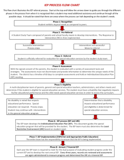 IEP PROCESS FLOW CHART