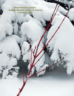 February 2014 - Illinois Prairie Chapter