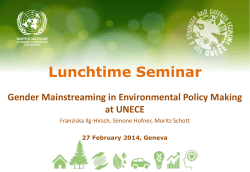 Gender Mainstreaming in Environmental Policy Making