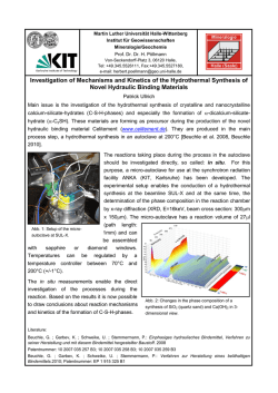 Investigation of Mechanisms and Kinetics of the Hydrothermal