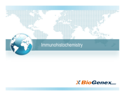 IHC - BioGenex