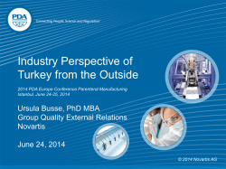 Industry Perspective of Turkey from the Outside