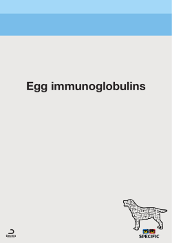 Egg immunoglobulins