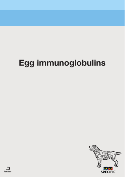 Egg immunoglobulins