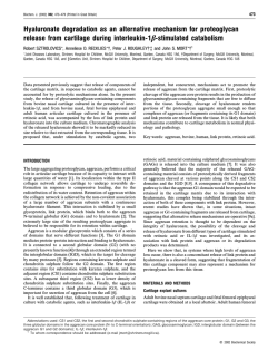 Hyaluronate degradation as an alternative mechanism for