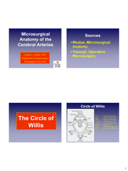 Microsurgical Anatomy of the Cerebral Arteries
