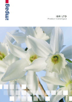 Product Catalogue IBR LTD
