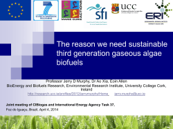 Gaseous Algal Biofuels - IEA Bioenergy Task 37