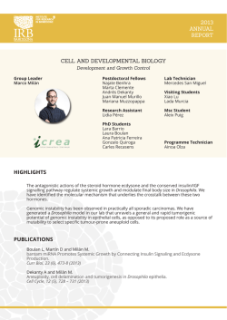 Download Mil&aacute;n Group Report