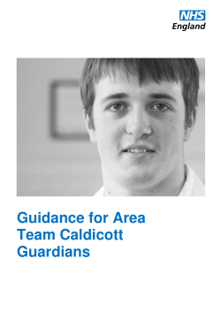 Guidance for Area Team Caldicott Guardians