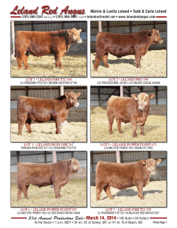 2014 Sale Lots.indd