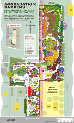 download pdf - Great Lakes Permaculture Portal