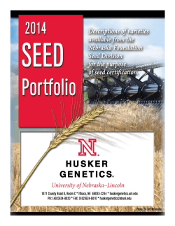 download the 2014 Seed Portfolio