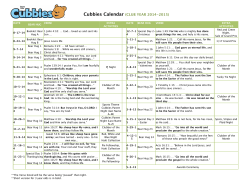 Cubbies HoneyComb Book Calendar