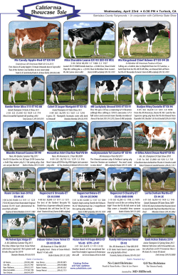 No-Limit Holsteins Gil-Tex Holsteins