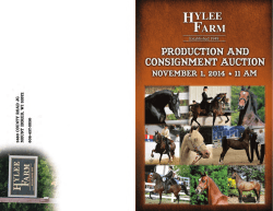 Download Auction Catalog