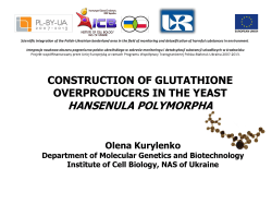 Construction of glutathione overproducers in Hansenula