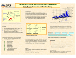 THE ANTIBACTERIAL ACTIVITY OF HOP COMPOUNDS