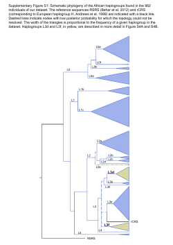 L3d L3f Supplementary Figure S1: Schematic phylogeny of
