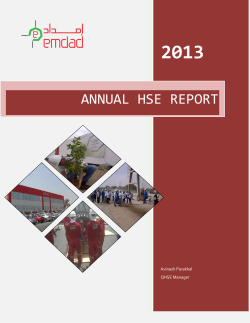 hse report 2013