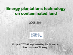 Energy plantations technology on contaminated land