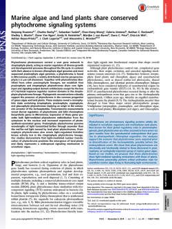 Marine algae and land plants share conserved phytochrome