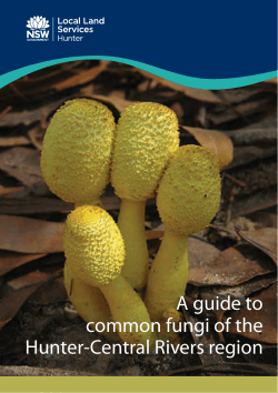 A guide to common fungi of HCR region