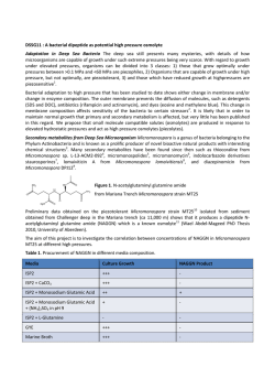 DSSG11 : A bacterial dipeptide as potential high pressure
