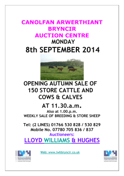 8th SEPTEMBER 2014 - Bryncir Auction Centre