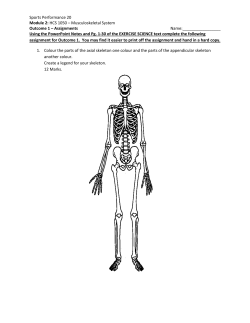 HCS 1050 – Musculoskeletal System Outcome 1