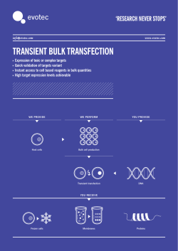 Transient bulk transfection (Download flyer in PDF)