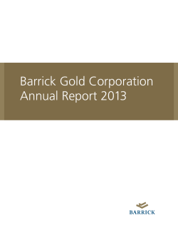 annual report 2013 pdf 5 mb