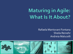 Maturing in Agile: What Is It About?