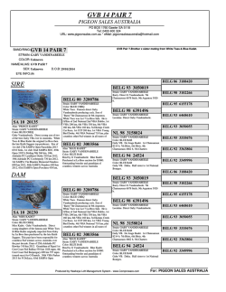 GVB 14 PAIR 7 SIRE DAM