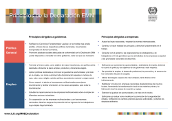 Principles of MNE declaration_final_colour_SP