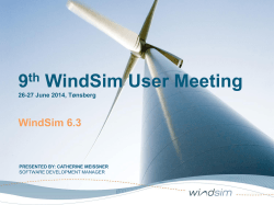 9 WindSim User Meeting