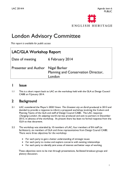 LAC/GLA Workshop Report