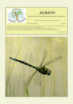 HQ pdf (11.9MB) - worlddragonfly.org