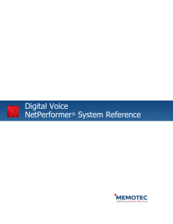 Digital Voice NetPerformer System Reference