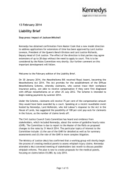 Liability Brief - February 2014