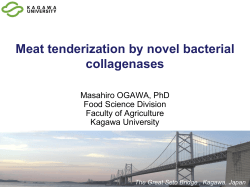 Meat tenderization by novel bacterial collagenases