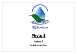 Phyto 1 - MillenniumEgypt