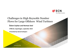 Challenges in High Reynolds Number Flows for Large Offshore