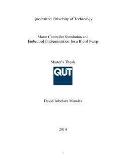 David Alonso Arbelaez Morales Thesis (PDF 8MB)