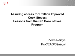 GIZ ProCEAO presentation